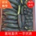 【精选】黑皮炮弹冬瓜√优质冬瓜♥良品品质♥匠心服务