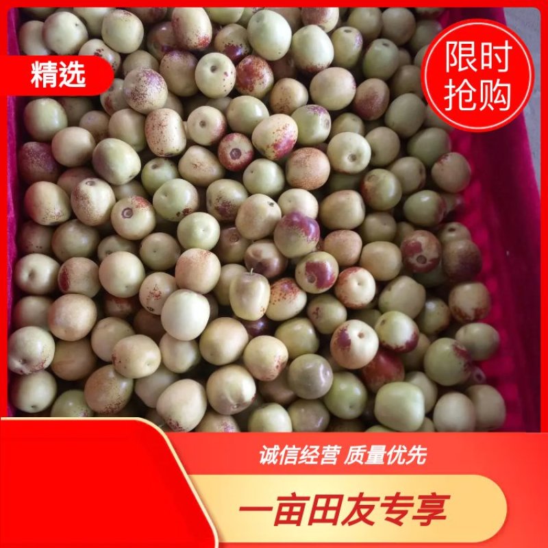 陕西大荔冬枣大量上市。产地直发货源充足