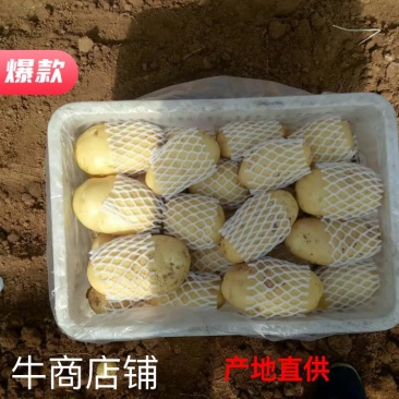 产地直销全国配货质量好荷兰十五可视频看货，支持线上交易