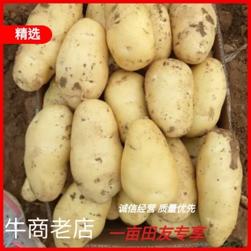 《产地直销》支持全国配货可视频看货，支持线上交易荷兰十五