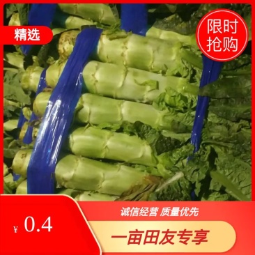 兰陵县鲁南市场信义蔬菜合作社基地直发货源稳定