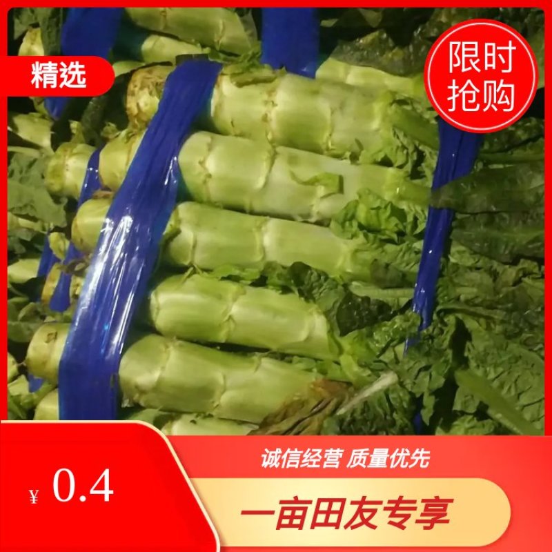兰陵县鲁南市场信义蔬菜合作社基地直发货源稳定