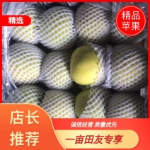 黄元帅大量火热上市中……欢迎全国客商电话联系沟通咨询诚信