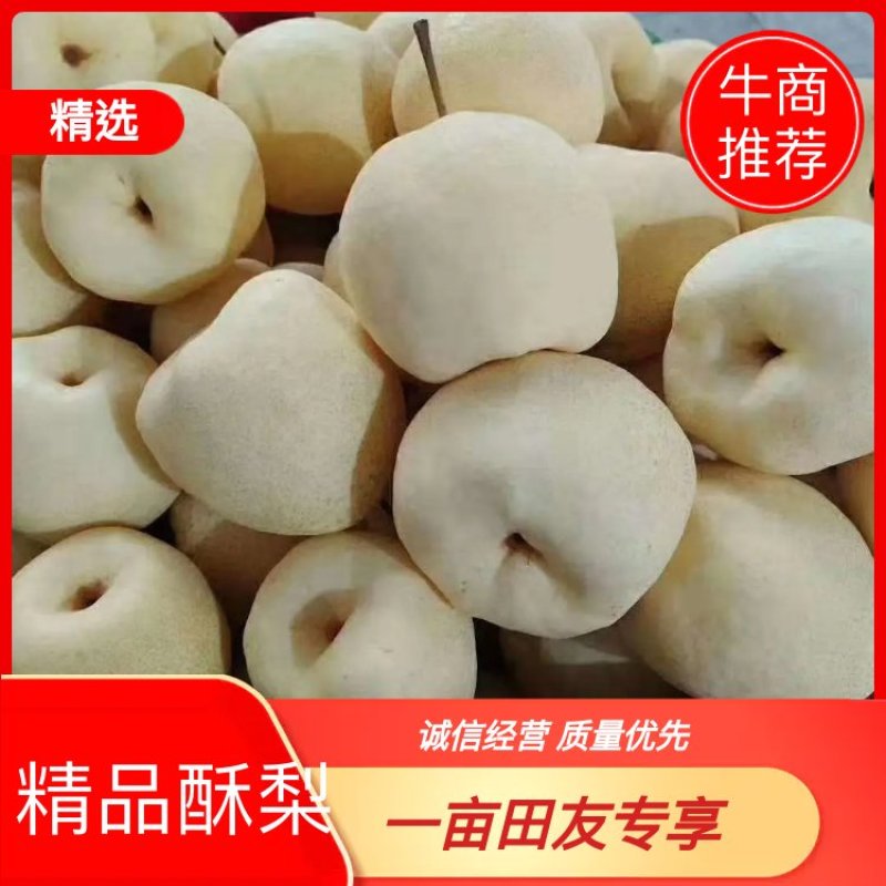 陕西礼泉砀山酥梨，皮薄多汁大量有货，产地直发支持线上交易
