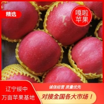 绥中红嘎啦大量货源价格合理欢迎各地客商前来采购