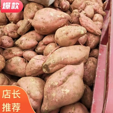 供应龙薯九地瓜一首货源耐运输品质保证
