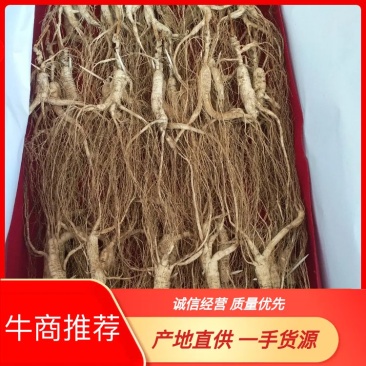 【林下参干品】17年林下参干品25年野山参林下籽干参包邮