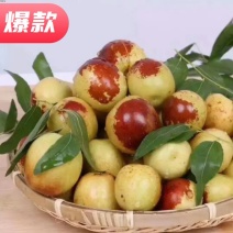 早脆王枣基地直供肉质鲜厚口感好是休闲食品