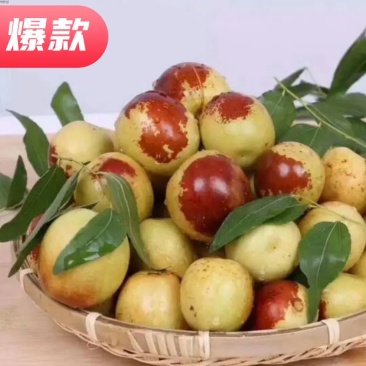 早脆王枣基地直供肉质鲜厚口感好是休闲食品