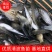 清波鱼苗，优质清波鱼苗，基地直供，可送货上门