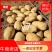 白皮黄心土豆v7好货预订