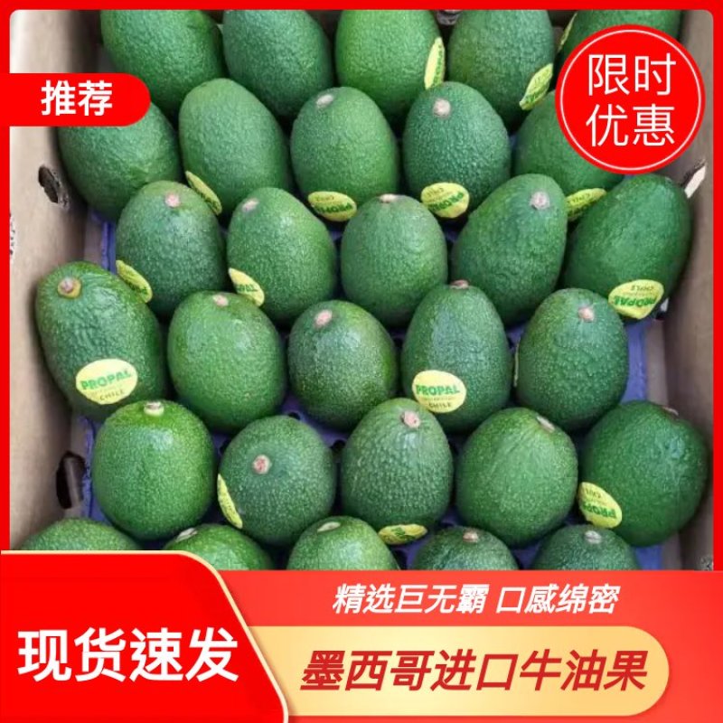 进口新鲜牛油果墨西哥/智利/进口牛油果