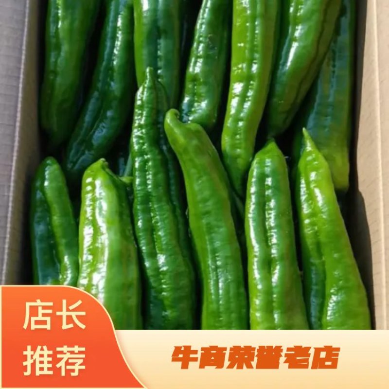 【辣椒】301辣椒河南夏邑精品大棚直发量大从优价格美丽电