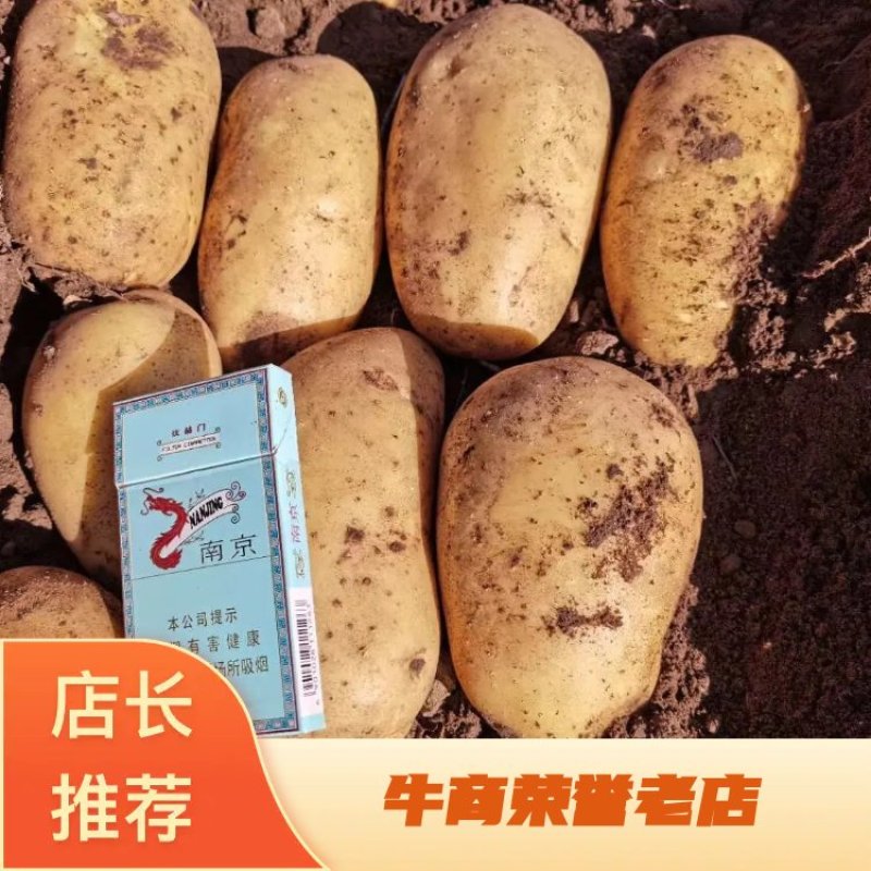 河北内蒙黄沙土豆马铃薯，产地直供，质量保证，全国代发！