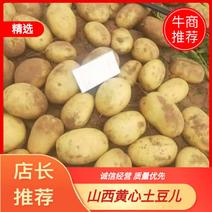 【希森6号】黄心儿土豆大量上市价格实惠，欢迎采购