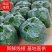 甘肃线椒鲜辣椒甘肃种植基地物鲜辣椒质美价廉保质保量
