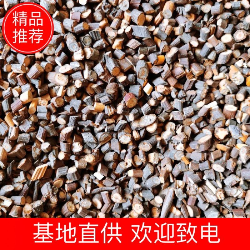 桂枝尖：4—6粒，无硫，天然晒干，农家直销量大从优