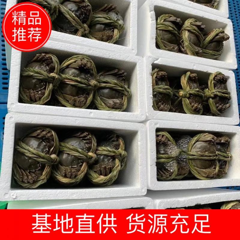 湖北省荆州市洪湖大闸蟹全母礼盒套餐可视频看货