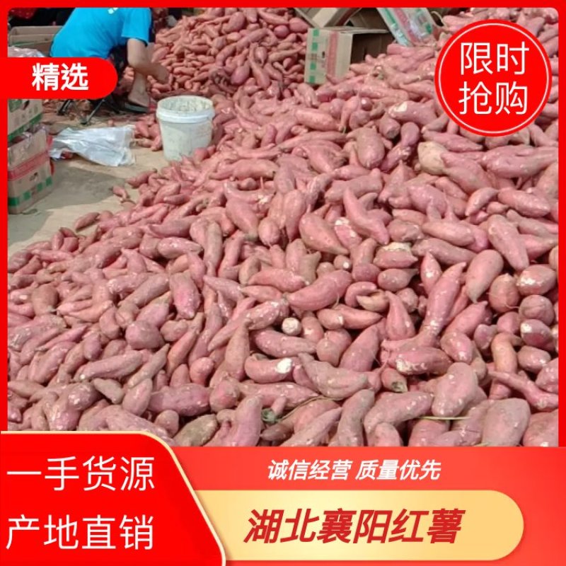 湖北襄阳宜城西瓜红口感好甜面支持各种规格和包装常年供应。