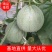 【精品】河北晓蜜产地直销大量供应可视频看货欢迎电话咨询！