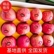陕西澄城优质山地红富士苹果正在热销中……
