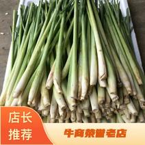 【优质】新鲜香茅草泰国品种新鲜香茅自家基地直供量大从优
