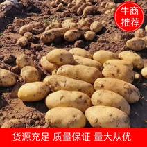 【优质】河北V7土豆商超品质货源充足量大从优欢迎