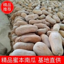 建水基地直销精品蜜本南瓜，走车价0.8，价格美丽。