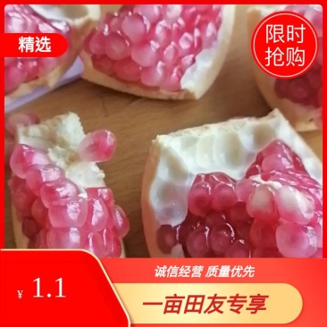 云南蒙自石榴大量上市