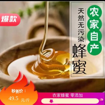农家蜂蜜自产自销零添加假一陪十诚信经营