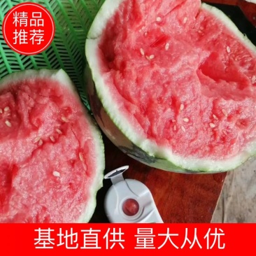 8424西瓜，自生苗，皮薄甜度高，熟度好，大棚种植