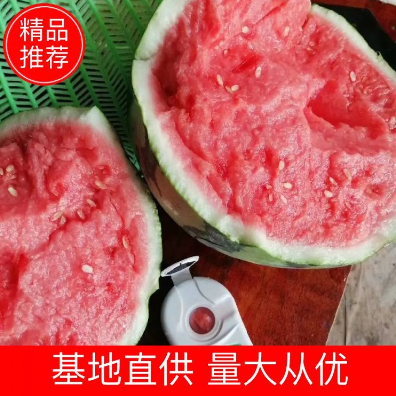 8424西瓜，自生苗，皮薄甜度高，熟度好，大棚种植