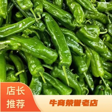 河南尖椒，个大顺直毛皮靓全部新鲜采摘，供货期长，质优价廉