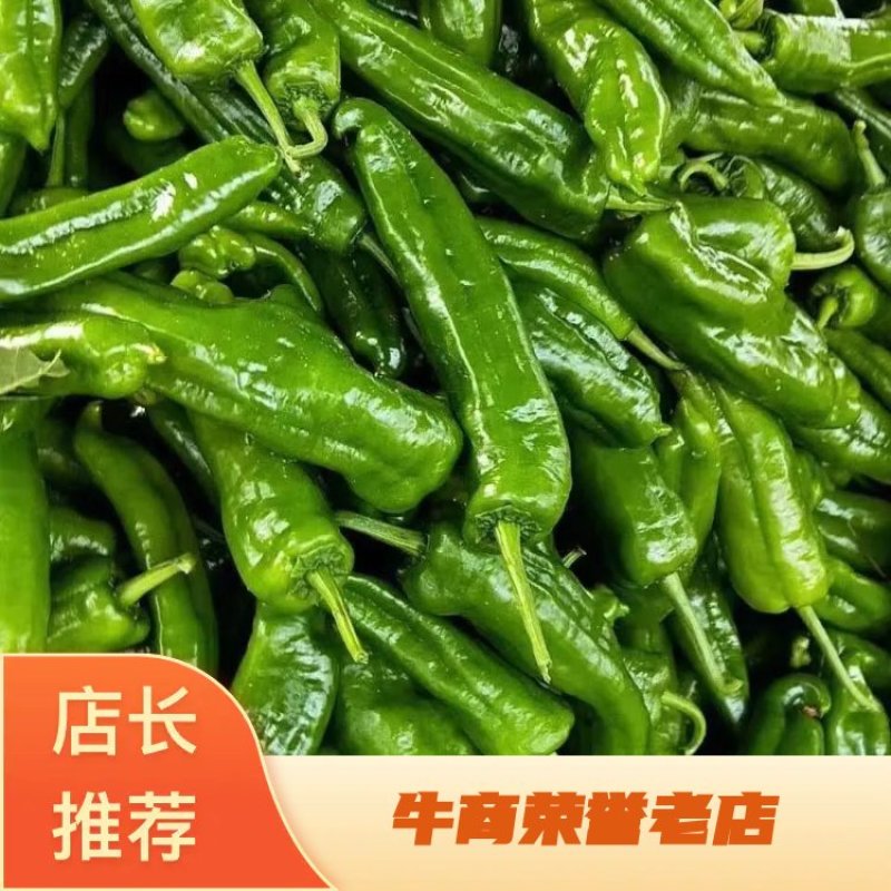 河南尖椒，个大顺直毛皮靓全部新鲜采摘，供货期长，质优价廉