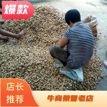 鲜花生，过筛手捡，质优价廉，欢迎全国各地的朋友来电。