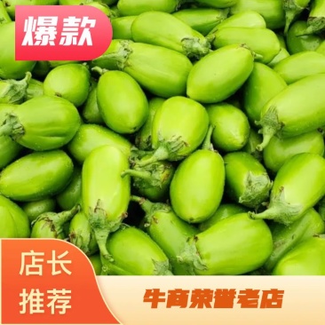 新野大棚茄子，紫茄，紫光园茄已经大量走货中，。