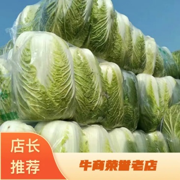 精品矮棵黄心白菜、货源充足、价格合理丶质量保证