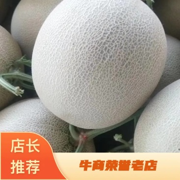网纹瓜鲁厚甜库拉玫珑密瓜代收代发对接电商