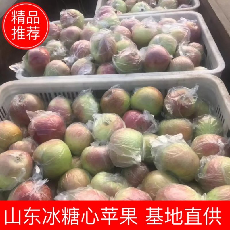 山东优质冰糖心红露苹果种植基地产地批发量大从优