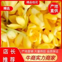 桂花，干桂花，桂花干，金桂干桂花，手摘干桂干桂花