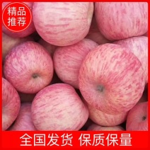 红富士苹果大量清库处理全国发货保质保量
