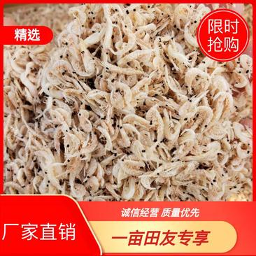 【虾皮】渤海湾咸虾皮，个头均匀，没有任何杂质，一手货源