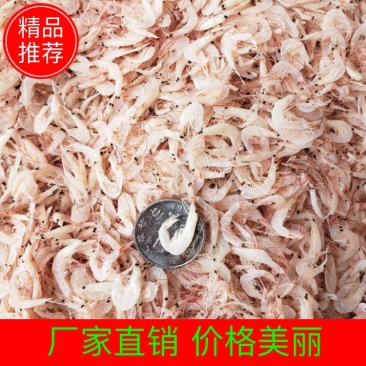 【虾皮】中小板虾皮产地直发，商超团购主打产品欢迎采购