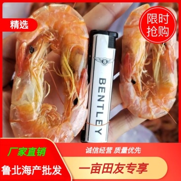 【推荐】精品虾干，干度好，微咸，个头大，一手货源