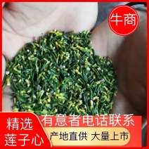 精选莲心碎莲心莲心叶泡茶入药好选择