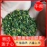 精选莲心碎莲心莲心叶泡茶入药好选择
