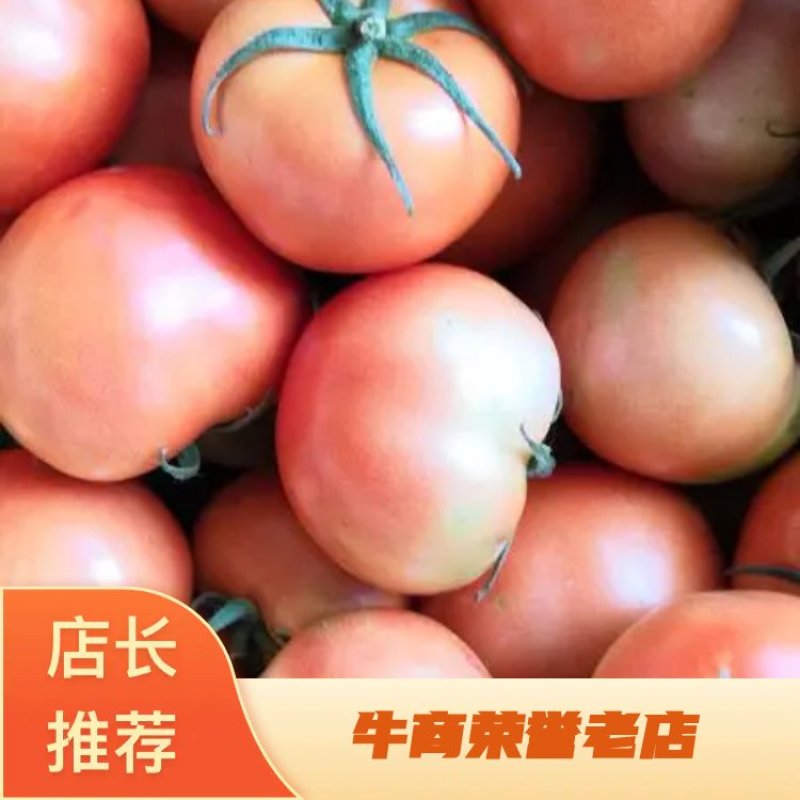 山东精品大红硬果西红柿，质量好。品种多，包装配货一条龙。