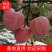 【爆品推荐】大量供应早熟苹果，富士王秦燕，花冠苹果