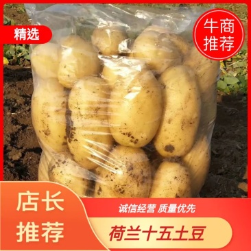 基地代办，希森六号，V7土豆，黄金薯，沃土土豆四两以上