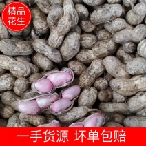 【花生】湖北精品花生小白沙湿花生基地直发欢迎选购